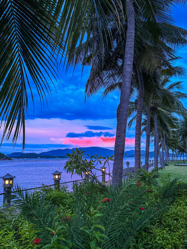 Peaceful garden walkway at Diamond Bay Resort