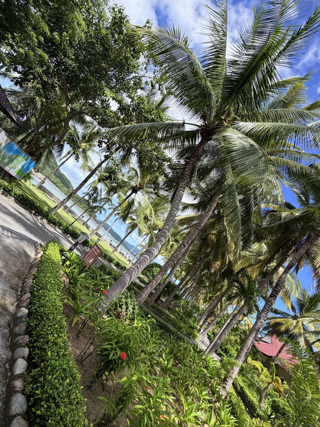 Peaceful garden walkway at Diamond Bay Resort