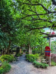 Whimsical photo spot in enchanted forest Vietnam