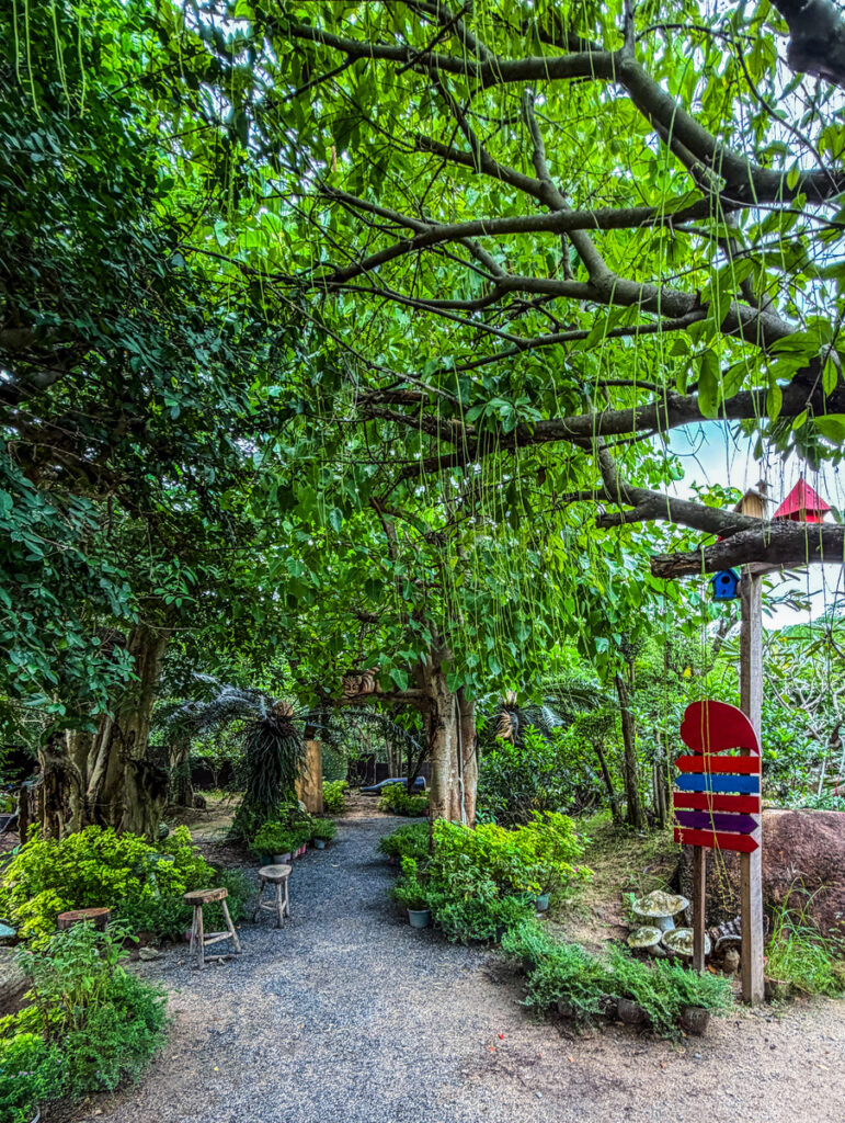 Whimsical photo spot in enchanted forest Vietnam