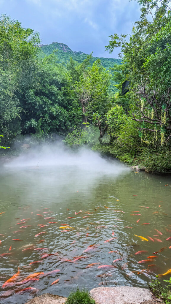 Whimsical photo spot in enchanted forest Vietnam
