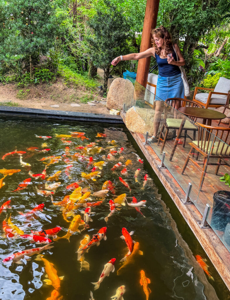 Mini zoo inside enchanted forest Vietnam
