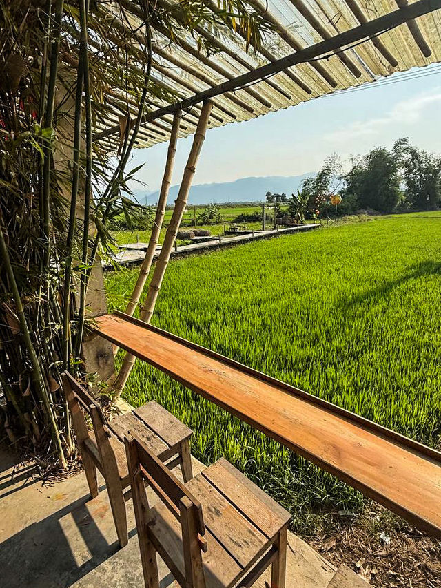 Open‑air bamboo hut seating at rice field cafe nha trang