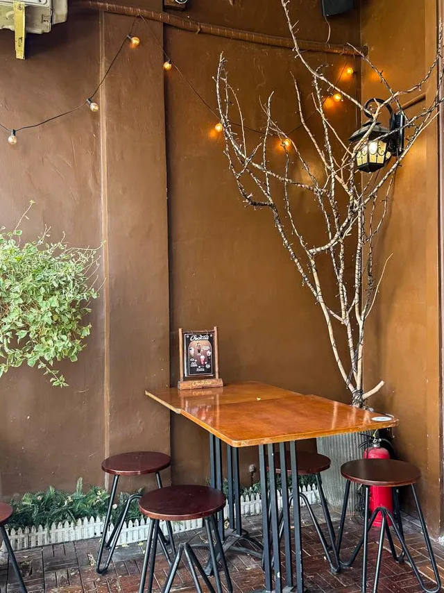 Minimalist cafe interior with hanging plants in the Cafe Apartments Saigon