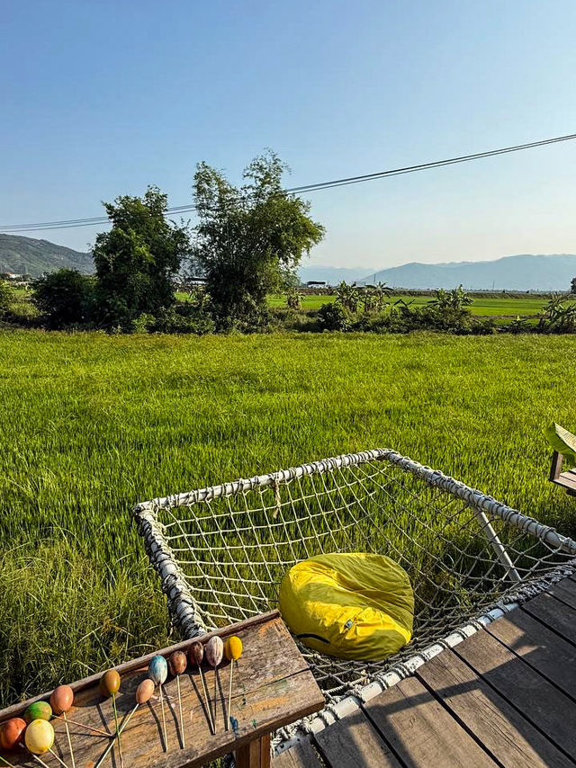 Sunset glow over rice paddies seen from rice field cafe nha trang