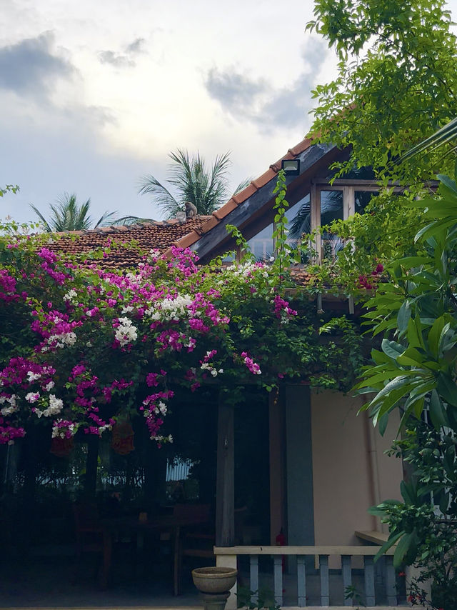 Cheeky monkey sitting on villa roof at private pool villa nha trang