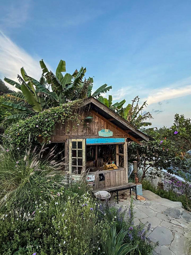 Rustic wooden bungalow surrounded by wildflowers at hidden valley da lat