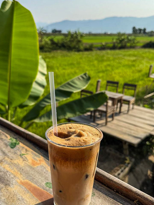Fresh Vietnamese iced coffee served at rice field cafe nha trang
