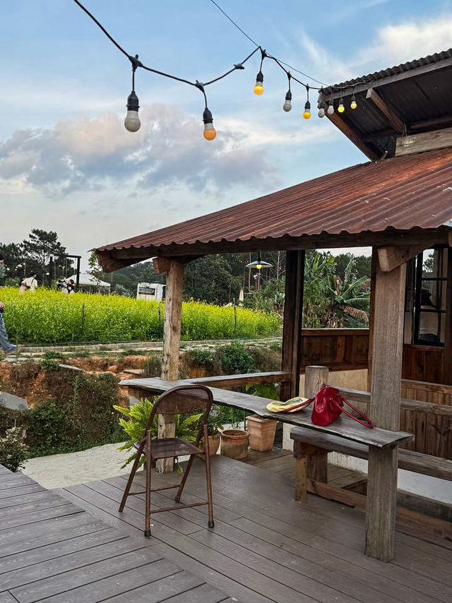Flower garden in full bloom with mountain backdrop at hidden valley da lat