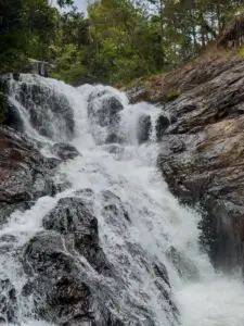 Stone steps winding through jungle to Datanla Waterfall Da Lat