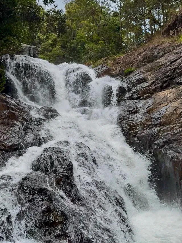 Stone steps winding through jungle to Datanla Waterfall Da Lat