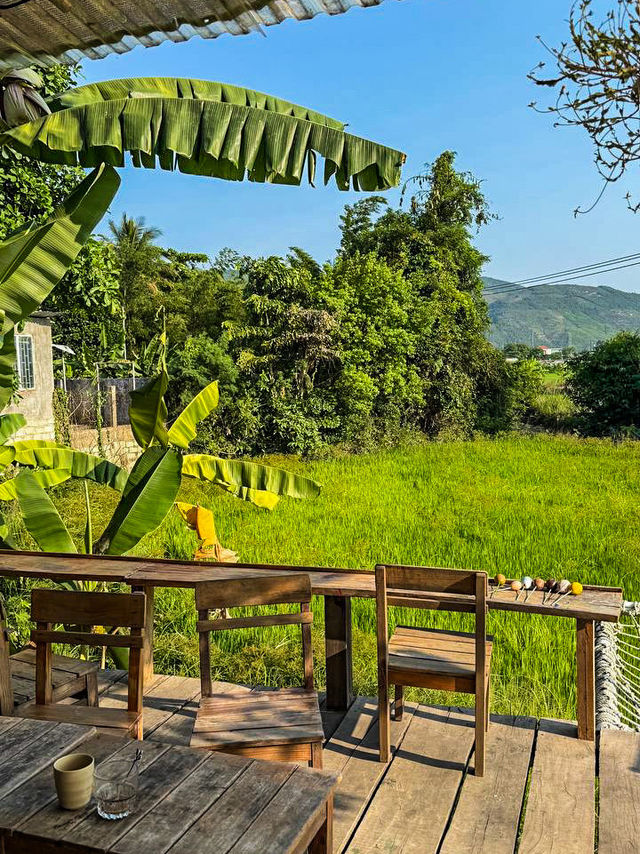 Wooden deck overlooking young rice plants at rice field cafe nha trang