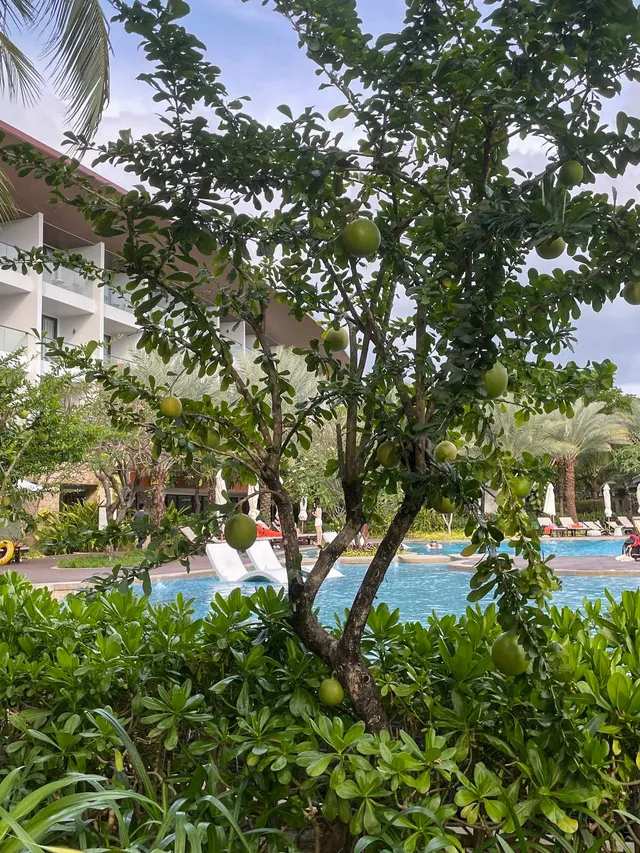 Chill seating area with mountain view at Boma Resort Nha Trang