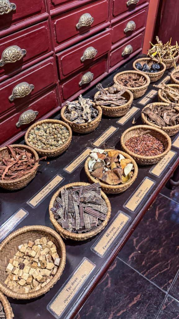 FITO Museum Saigon wooden building with traditional Vietnamese medicine exhibits