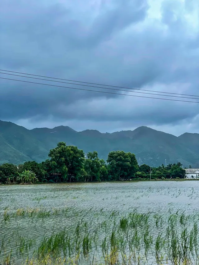 Xóm Cốm Coffee — Rice Fields & Bali Vibes