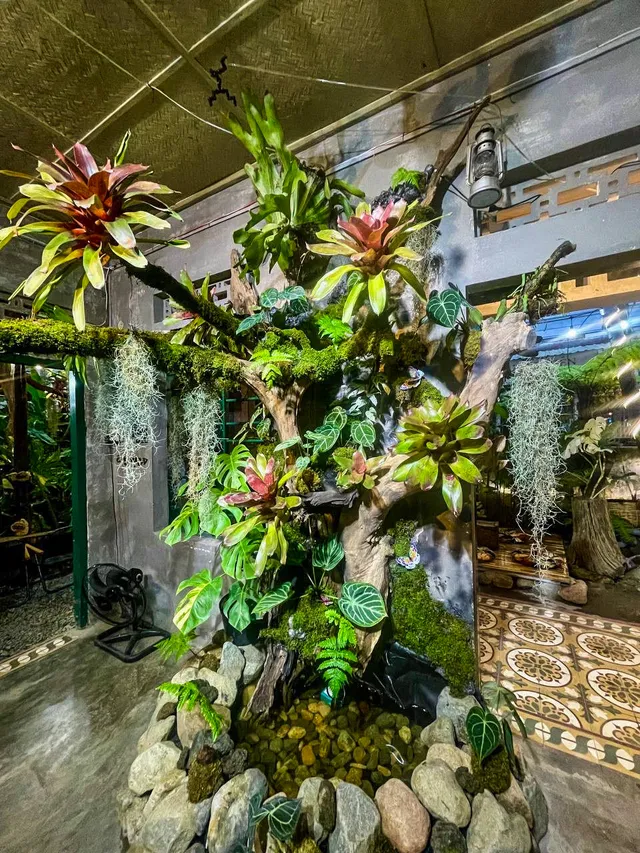 Mua Coffee & Tea secret garden cafe hidden Nha Trang