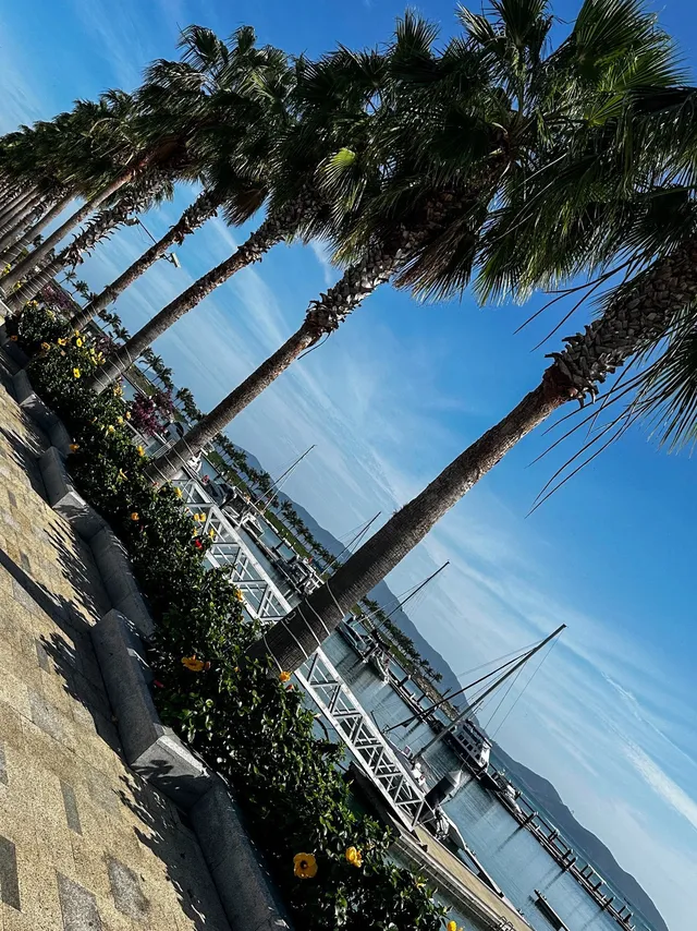 Marina Beach Club peaceful sunbeds and sunset Nha Trang Vietnam