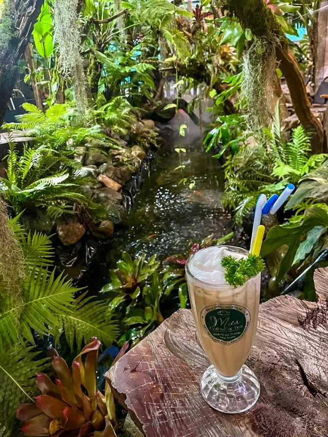 Mua Coffee & Tea secret garden cafe hidden Nha Trang