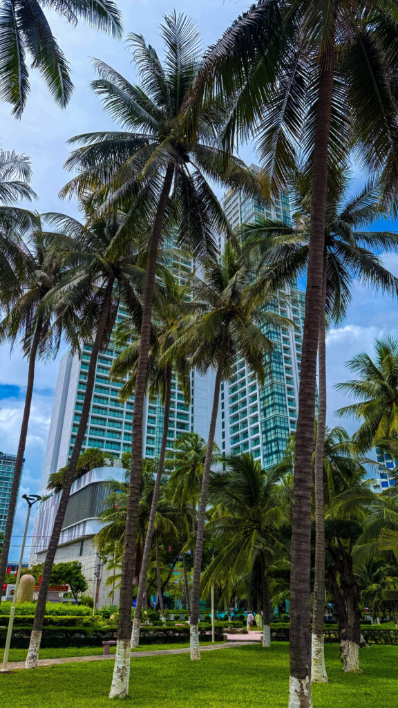 Tran Phu Promenade Nha Trang 7km beach walk with palms and ocean view
