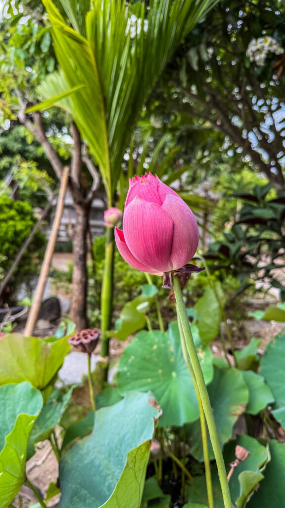 Nghia Son Pagoda quiet temple Phuoc Son Nam Nha Trang Vietnam