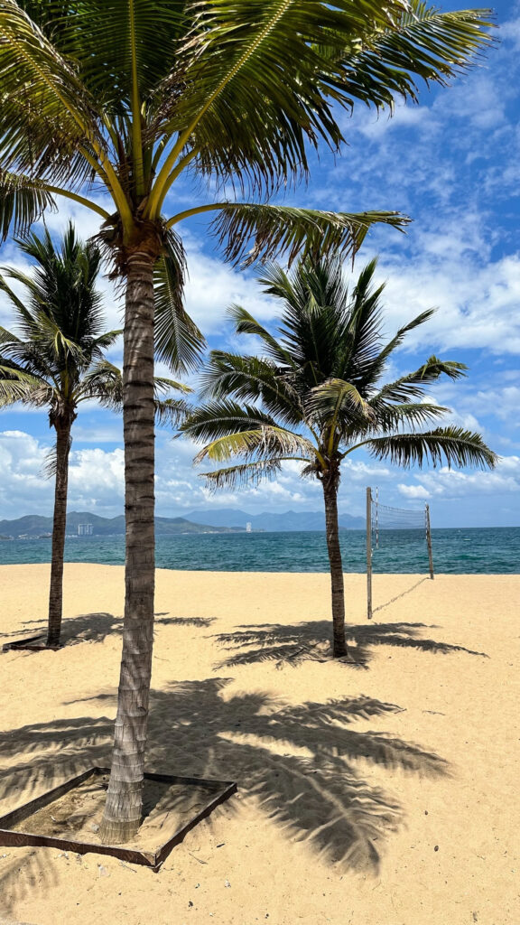 Tran Phu Promenade Nha Trang 7km beach walk with palms and ocean view