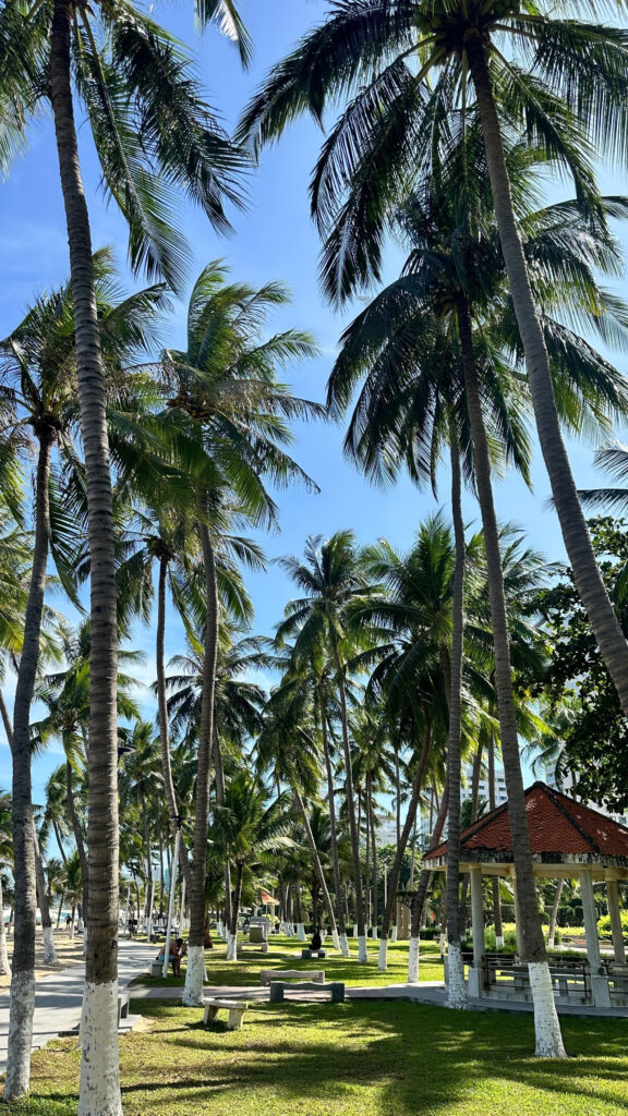 Tran Phu Promenade Nha Trang 7km beach walk with palms and ocean view