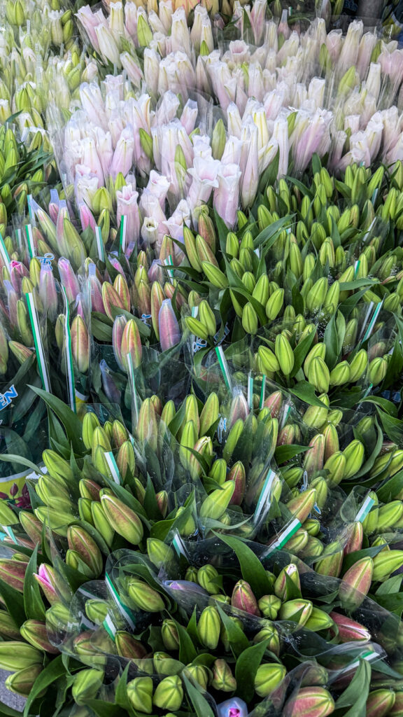 Ho Thi Ky Flower Market roses and orchids at dawn Saigon