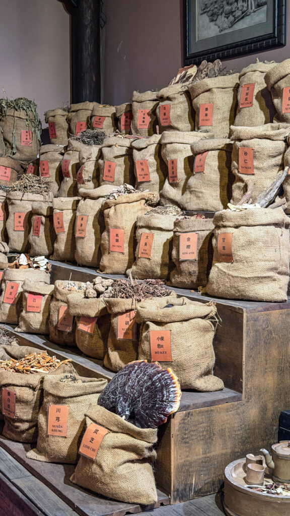 FITO Museum Saigon wooden building with traditional Vietnamese medicine exhibits