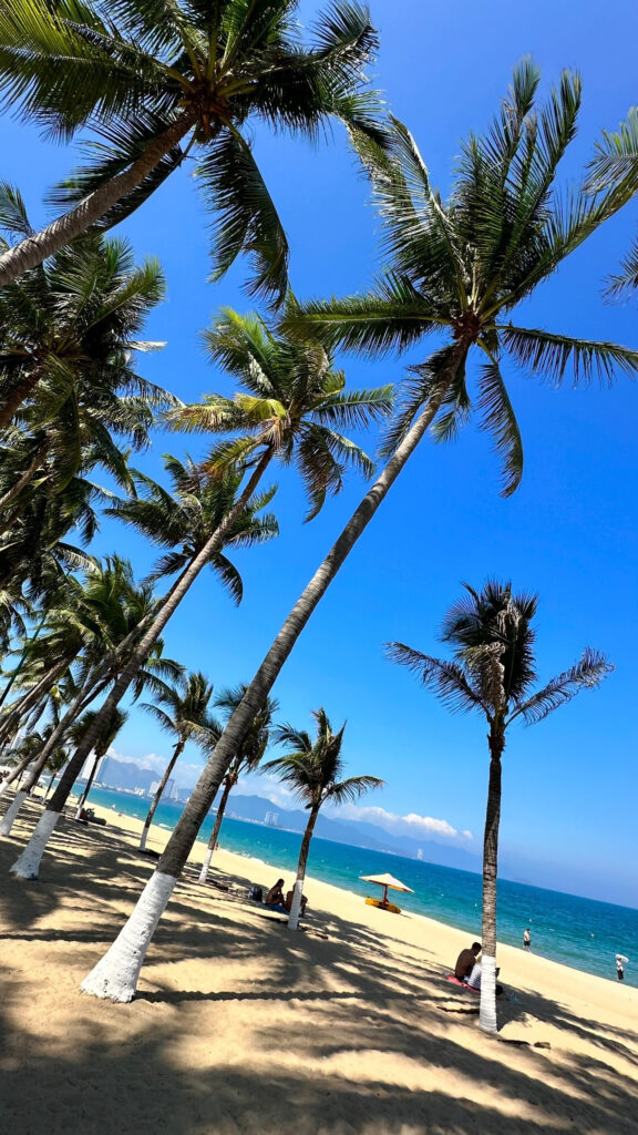 Tran Phu Promenade Nha Trang 7km beach walk with palms and ocean view