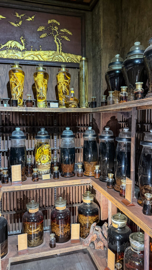 FITO Museum Saigon wooden building with traditional Vietnamese medicine exhibits