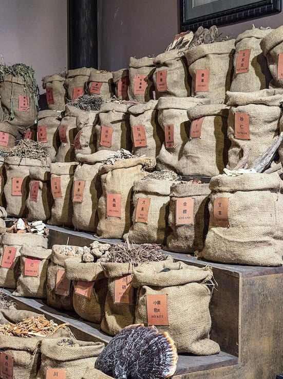 FITO Museum, Vietnamese herbal medicine, Saigon museum, traditional medicine, District 10, hidden Saigon, medical history