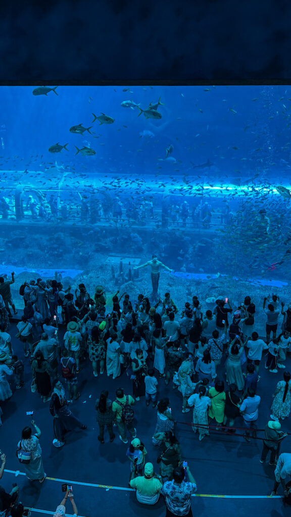 The Sea Shell Aquarium VinWonders Phu Quoc turtle-shaped building