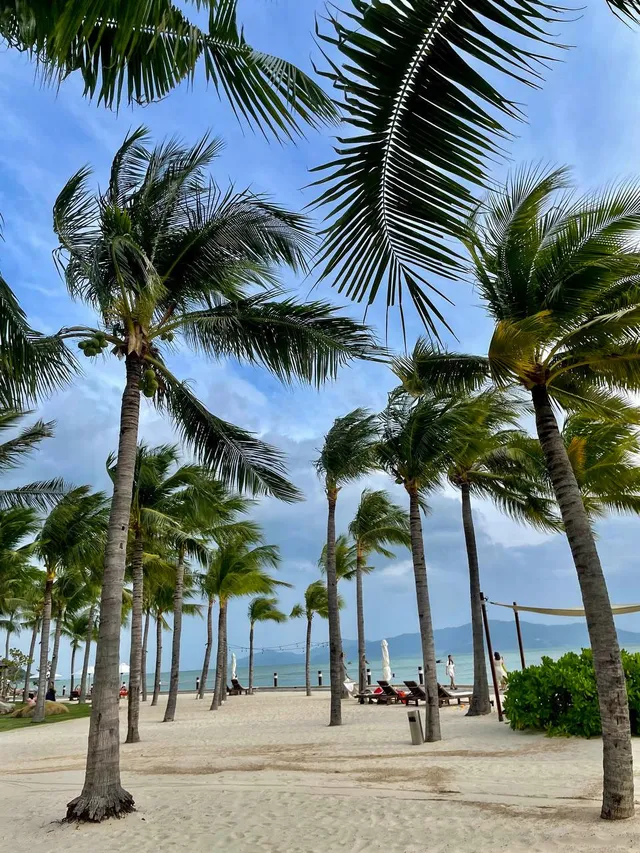 Your First Day in Vietnam: What to Do After You Land