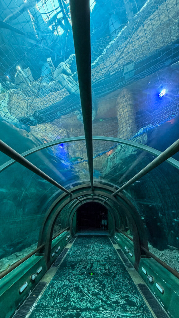 The Sea Shell Aquarium VinWonders Phu Quoc turtle-shaped building
