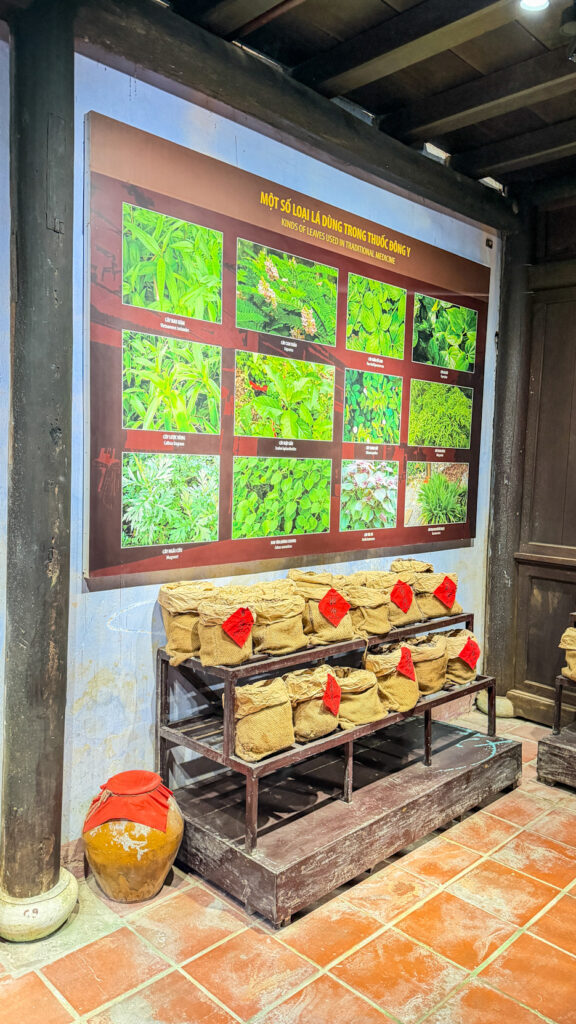 Museum of Traditional Medicine in Hoi An Ancient Town Vietnam

