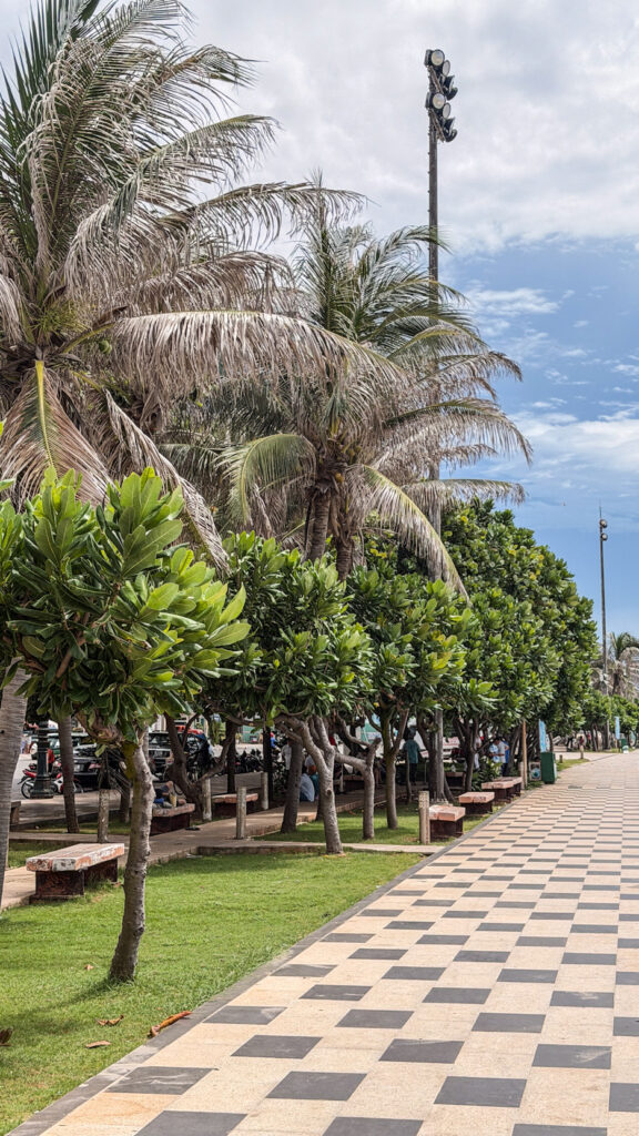 Back Beach Bãi Sau in Vung Tau with beach chairs and umbrellas along the sand