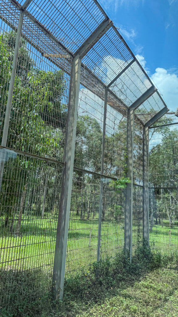 Vinpearl Safari Phu Quoc safari bus tour with lions and giraffes