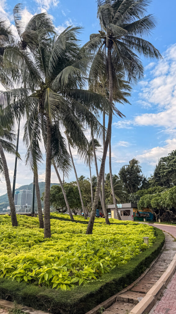 Front Beach Bãi Trước and Vung Tau waterfront promenade
