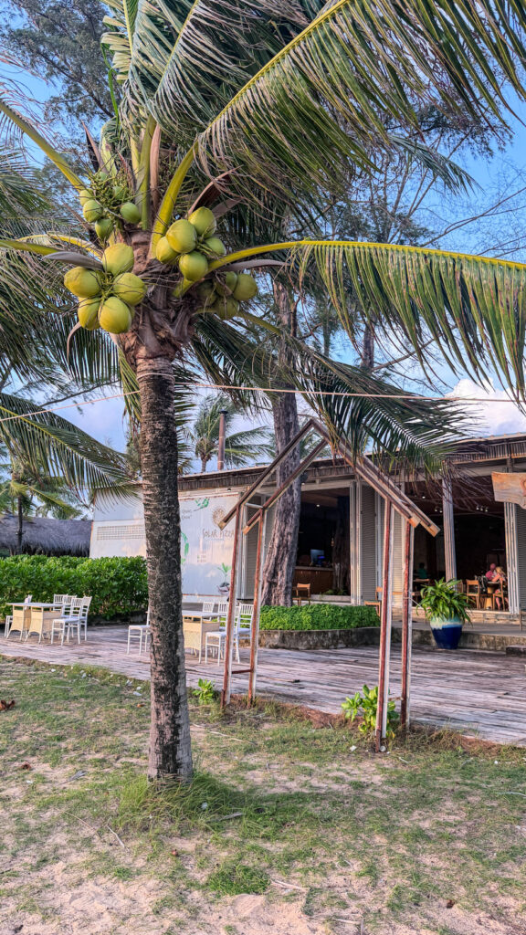 Solar Pizza Sunset Sanato Phu Quoc wood-fired pizza on the beach