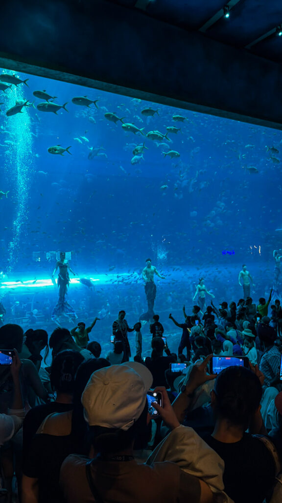 Deep Sea Restaurant VinWonders Phu Quoc sharks swimming underwater