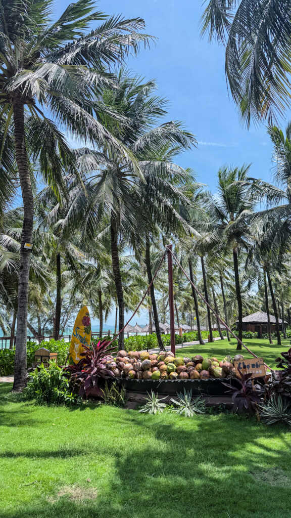 Vinpearl Resort Sim Bar Phu Quoc 4900 sqm pool and sunset cocktails