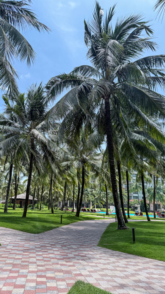 Vinpearl Resort Sim Bar Phu Quoc 4900 sqm pool and sunset cocktails