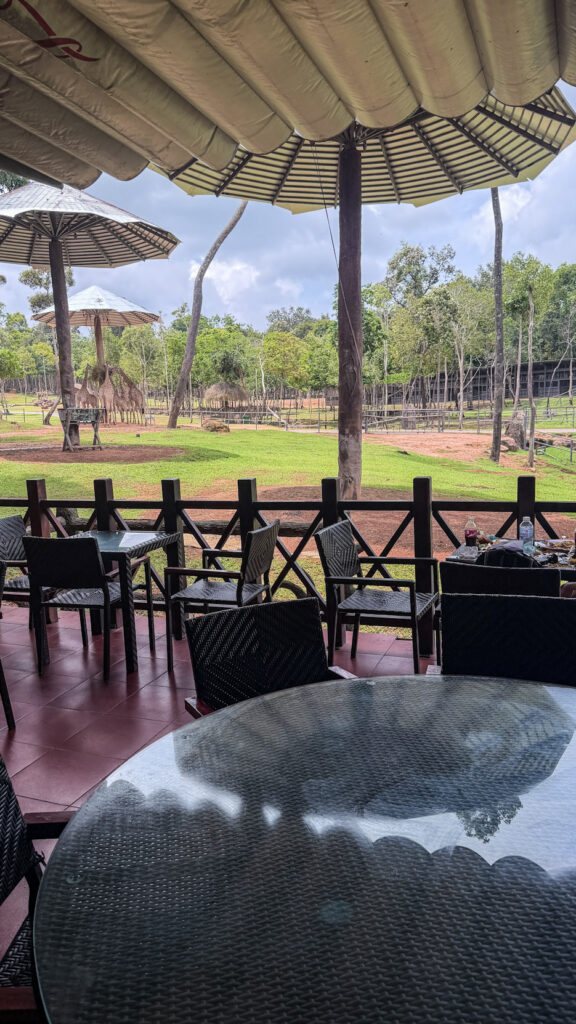 Flamingo Restaurant Vinpearl Safari Phu Quoc lunch with savannah view