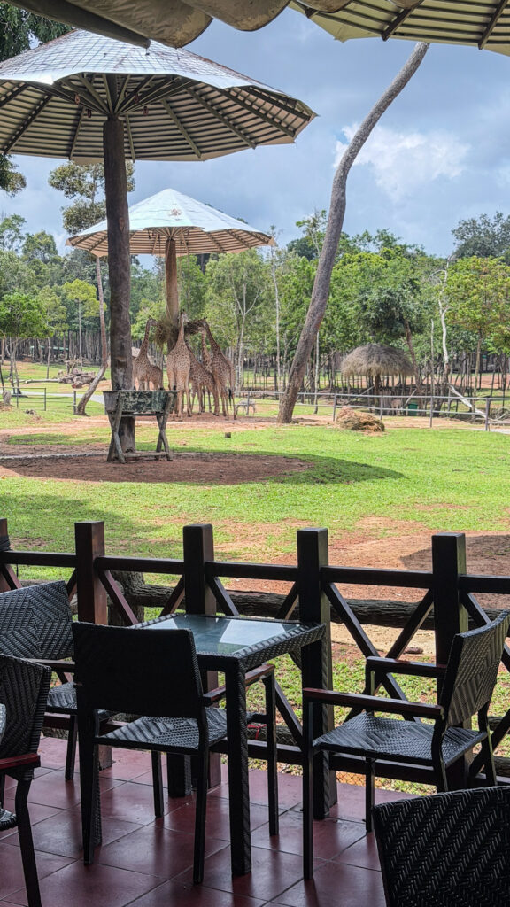 Flamingo Restaurant Vinpearl Safari Phu Quoc lunch with savannah view