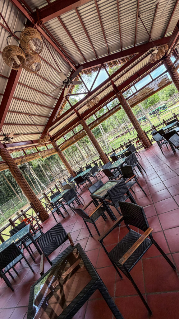 Flamingo Restaurant Vinpearl Safari Phu Quoc lunch with savannah view