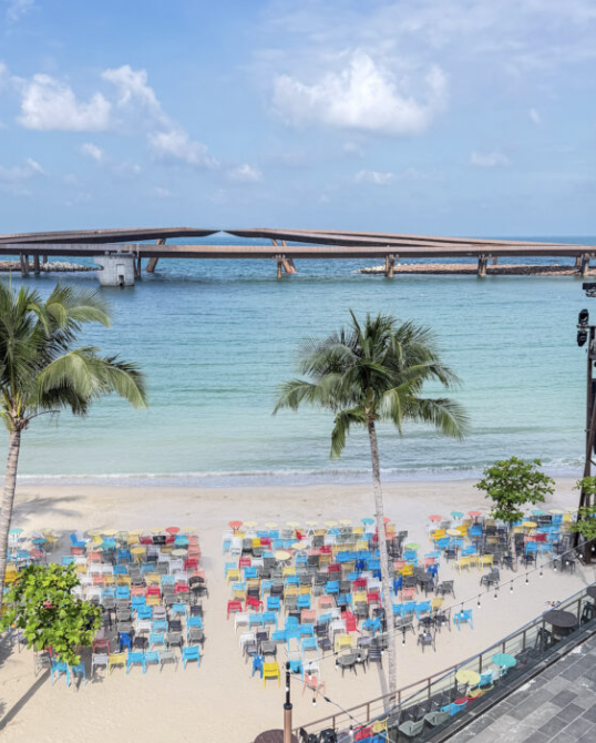 Ultimate Vietnam Currency Guide: Cash or Card in 2026