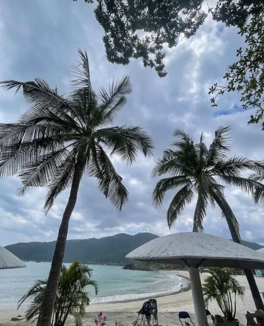 Essential Guide to Eating and Avoiding in Vietnam