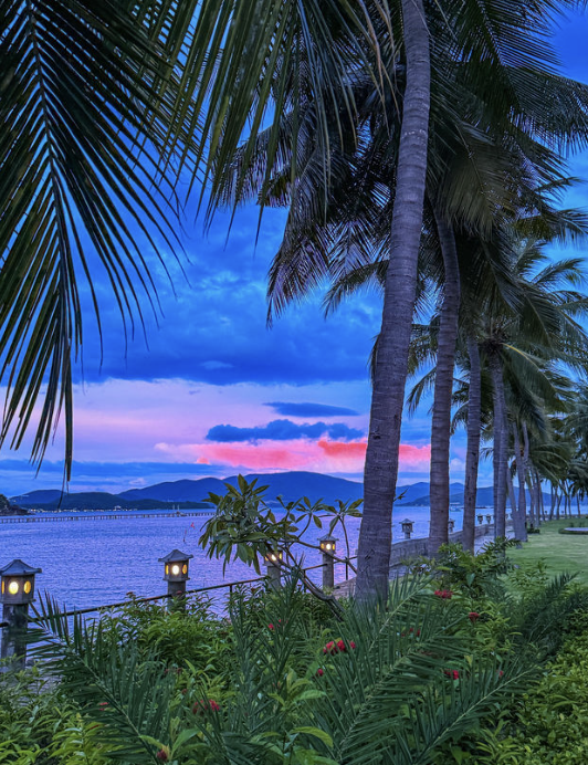 Ultimate Vietnam Trip Cost Guide for 7–14 Days