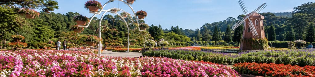 Flower Gardens in Da Lat 