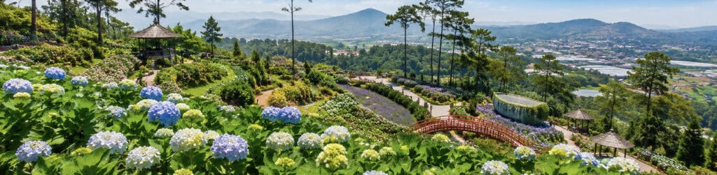 Flower Gardens in Da Lat